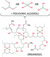 Graphical abstract: Selective formation of organo, organo-aqueous, and hydro gel-like materials from partially hydrolysed poly(vinyl acetate)s based on different boron-containing crosslinkers