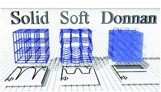 Graphical abstract: Soft nanofluidics governing minority ion exclusion in charged hydrogels