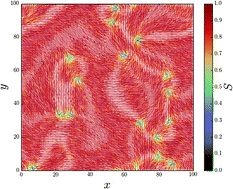 Graphical abstract: Multi-particle collision dynamics algorithm for nematic fluids