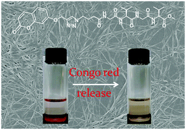 Graphical abstract: Tetrapeptide–coumarin conjugate 3D networks based on hydrogen-bonded charge transfer complexes: gel formation and dye release