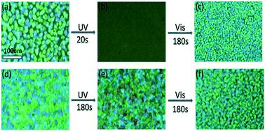 Graphical abstract: Optically binary liquid crystalline blue phases induced by one-armed cholesterol-linked azobenzene molecules