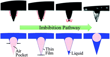 Graphical abstract: Air pocket stability and the imbibition pathway in droplet wetting