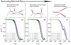 Graphical abstract: Internal stress drives slow glassy dynamics and quake-like behaviour in ionotropic pectin gels