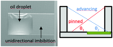 Graphical abstract: Directional imbibition on a chemically patterned silicon micropillar array