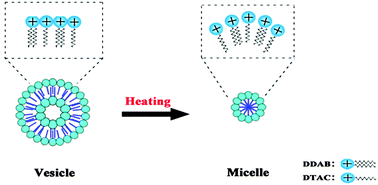 Graphical abstract: Temperature-induced vesicle to micelle transition in cationic/cationic mixed surfactant systems