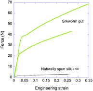 Graphical abstract: Mechanical behaviour and formation process of silkworm silk gut