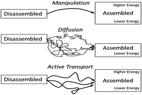 Graphical abstract: Cytoskeletal motor-driven active self-assembly in in vitro systems