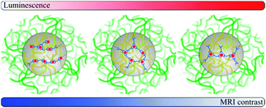Graphical abstract: Revealing and tuning the core, structure, properties and function of polymer micelles with lanthanide-coordination complexes