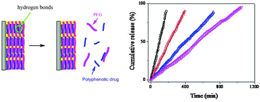 Graphical abstract: Zero-order release of polyphenolic drugs from dynamic, hydrogen-bonded LBL films