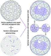 Graphical abstract: Soft spherical nanostructures with a dodecagonal quasicrystal-like order