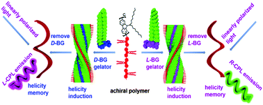 Graphical abstract: A strategy for tuning achiral main-chain polymers into helical assemblies and chiral memory systems
