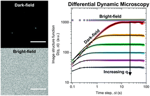 Graphical abstract: Dark-field differential dynamic microscopy