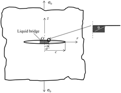 Graphical abstract: The effect of a capillary bridge on the crack opening of a penny crack