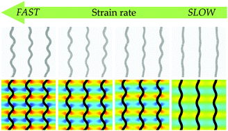 Graphical abstract: Harnessing viscoelasticity and instabilities for tuning wavy patterns in soft layered composites