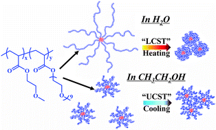 Graphical abstract: Understanding the thermosensitivity of POEGA-based star polymers: LCST-type transition in water vs. UCST-type transition in ethanol