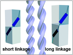 Graphical abstract: Linkage-length dependent structuring behaviour of bent-core molecules in helical nanostructures