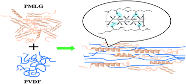 Graphical abstract: Significant piezoelectric and energy harvesting enhancement of poly(vinylidene fluoride)/polypeptide fiber composites prepared through near-field electrospinning