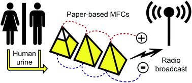 Graphical abstract: Urine-activated origami microbial fuel cells to signal proof of life
