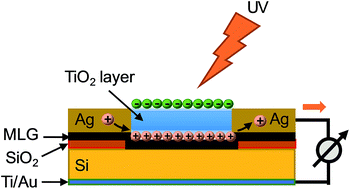 Graphical abstract: TiO2 enhanced ultraviolet detection based on a graphene/Si Schottky diode