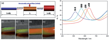 Graphical abstract: Facile fabrication of a magnetically induced structurally colored fiber and its strain-responsive properties