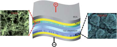 Graphical abstract: All conducting polymer electrodes for asymmetric solid-state supercapacitors