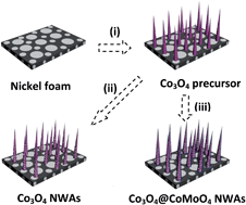 Graphical abstract: Construction of unique Co3O4@CoMoO4 core/shell nanowire arrays on Ni foam by the action exchange method for high-performance supercapacitors