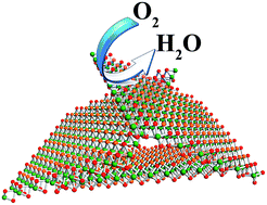 Graphical abstract: Incorporated oxygen in MoS2 ultrathin nanosheets for efficient ORR catalysis