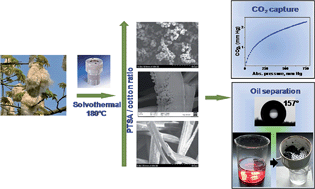 Graphical abstract: Solvothermal synthesis of microporous superhydrophobic carbon with tunable morphology from natural cotton for carbon dioxide and organic solvent removal applications