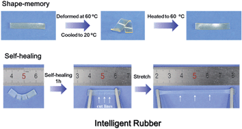 Graphical abstract: Intelligent rubber with tailored properties for self-healing and shape memory