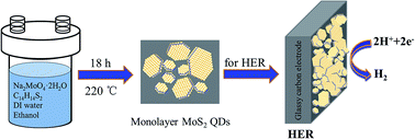 Graphical abstract: One-step hydrothermal synthesis of monolayer MoS2 quantum dots for highly efficient electrocatalytic hydrogen evolution