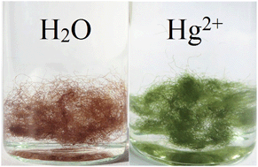 Graphical abstract: A highly selective and sensitive recyclable colorimetric Hg2+ sensor based on the porphyrin-functionalized polyacrylonitrile fiber