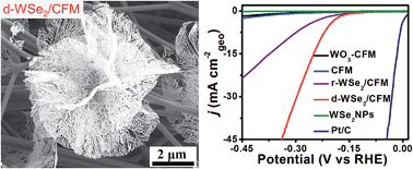Graphical abstract: A 3D dendritic WSe2 catalyst grown on carbon nanofiber mats for efficient hydrogen evolution