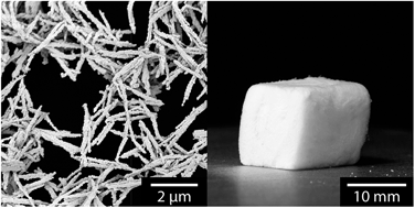 Graphical abstract: Cellulose nanofibril core–shell silica coatings and their conversion into thermally stable nanotube aerogels