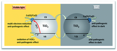 Graphical abstract: Visible-light sensitive Cu(ii)–TiO2 with sustained anti-viral activity for efficient indoor environmental remediation