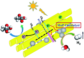 Graphical abstract: MoP is a novel, noble-metal-free cocatalyst for enhanced photocatalytic hydrogen production from water under visible light