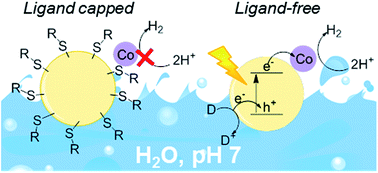 Graphical abstract: Ligand removal from CdS quantum dots for enhanced photocatalytic H2 generation in pH neutral water