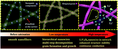 Graphical abstract: An electrospun hierarchical LiV3O8 nanowire-in-network for high-rate and long-life lithium batteries