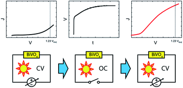 Graphical abstract: Photocharged BiVO4 photoanodes for improved solar water splitting