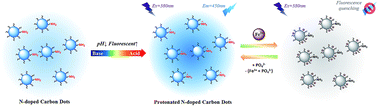 Graphical abstract: One-step synthesis of robust nitrogen-doped carbon dots: acid-evoked fluorescence enhancement and their application in Fe3+ detection