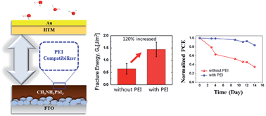 Graphical abstract: Synergistic enhancement and mechanism study of mechanical and moisture stability of perovskite solar cells introducing polyethylene-imine into the CH3NH3PbI3/HTM interface