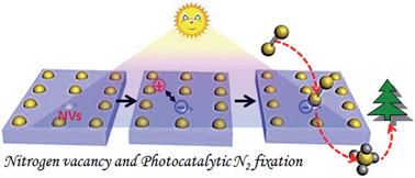 Graphical abstract: Selective photocatalytic N2 fixation dependent on g-C3N4 induced by nitrogen vacancies