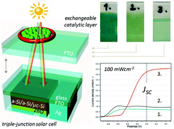 Graphical abstract: Optimized immobilization of ZnO:Co electrocatalysts realizes 5% efficiency in photo-assisted splitting of water