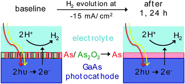 Graphical abstract: Remarkable stability of unmodified GaAs photocathodes during hydrogen evolution in acidic electrolyte