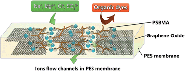 Graphical abstract: Surface zwitterionic functionalized graphene oxide for a novel loose nanofiltration membrane