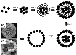 Graphical abstract: Nitrogen dioxide sensing using tungsten oxide microspheres with hierarchical nanorod-assembled architectures by a complexing surfactant-mediated hydrothermal route