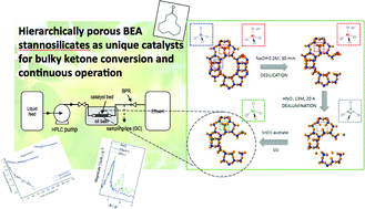 Graphical abstract: Hierarchically porous BEA stannosilicates as unique catalysts for bulky ketone conversion and continuous operation