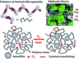 Graphical abstract: Nanofiller-tuned microporous polymer molecular sieves for energy and environmental processes