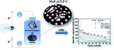 Graphical abstract: Bio-inspired synthesis of N,F co-doped 3D graphitized carbon foams containing manganese fluoride nanocrystals for lithium ion batteries