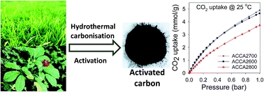 Graphical abstract: Biomass-derived activated carbon with simultaneously enhanced CO2 uptake for both pre and post combustion capture applications
