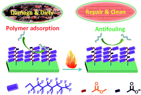 Graphical abstract: Self-healing fluoropolymer brushes as highly polymer-repellent coatings